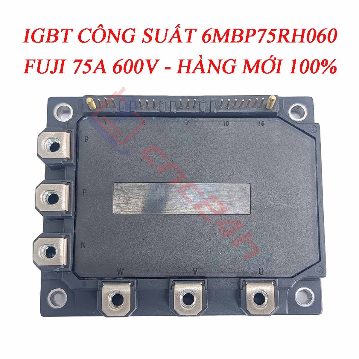 6MBP75RH060 là module IGBT công suất có dòng định mức 75A, điện áp 600V, với khả năng chịu tải ổn định và hiệu suất chuyển mạch cao. Sản phẩm được ứng dụng rộng rãi trong máy cnc, công nghiệp,...